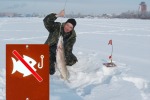 Впервые – полный запрет на зимнюю рыбалку, вплоть до весны