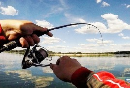 Бюджетный народный спиннинг Maximus.  5 из 5 в рейтинге