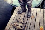 Вот за то, что на фото, – уголовное дело