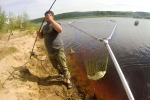 Подлещики и лещи брали только на сало. Кокшайск