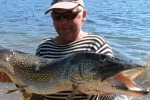 Ловля рыбы летом на жерлицы-рогульки