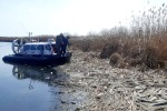 Осетры тоннами лежат сейчас на берегах 
