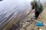 Ловля на живца. Или как наловить щук поздней осенью
