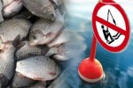 С 1 марта рыбаков ждут изменения в правилах рыбалки