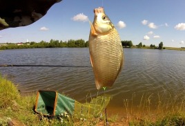 Ловля рыбы летом. Часть 1